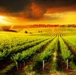 Top universities in South Australia_0